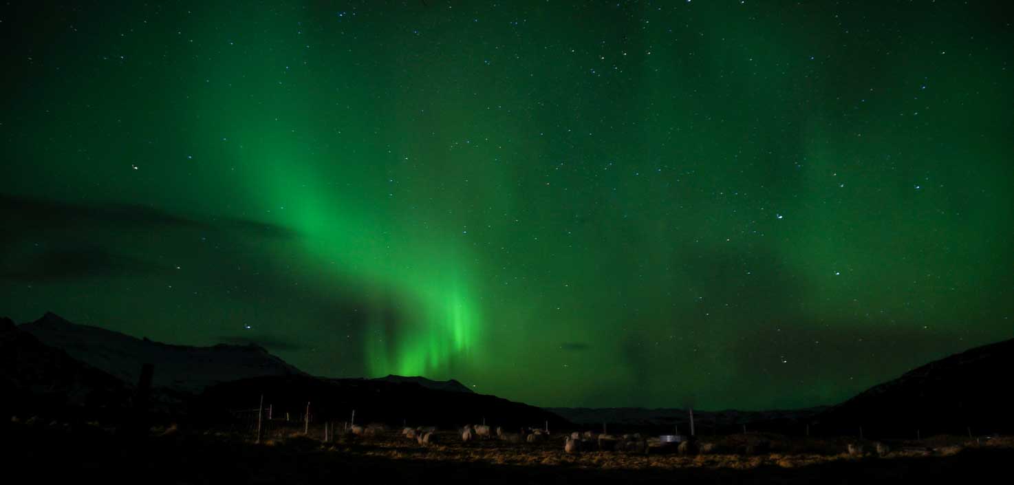 A display of the Aurora Borealis or Northern Lights in Iceland