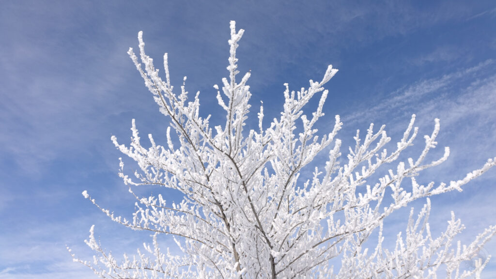 Gyumri winter